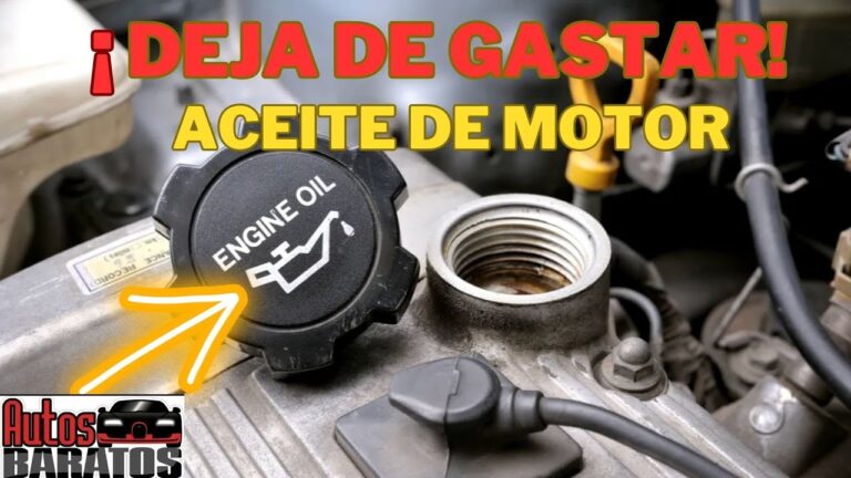 Ofertas en Servicios de Cambio de Juntas para Veh&iacute;culos
