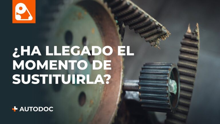 Servicio Eficiente de Cambio de Correas de Distribuci&oacute;n en Taller
