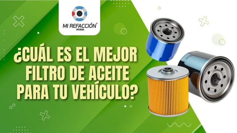 Gu&iacute;a para Elegir el Filtro de Coche Ideal