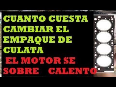 Opiniones sobre Talleres de Cambio de Juntas y Retenes